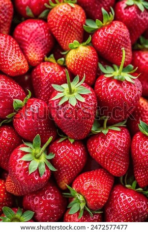 Similar – Image, Stock Photo Close up of fresh artichokens