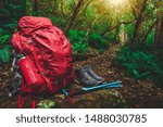 Red backpack, hiking boots, water bottle, hiking poles and supplies for hiker are placed on a large rock in lush rain forest path of Tasmania, Australia. Trekking camping and hiking adventure concept.