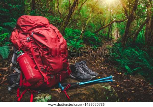 Red backpack, hiking boots, water bottle, hiking\
poles and supplies for hiker are placed on a large rock in lush\
rain forest path of Tasmania, Australia. Trekking camping and\
hiking adventure concept.