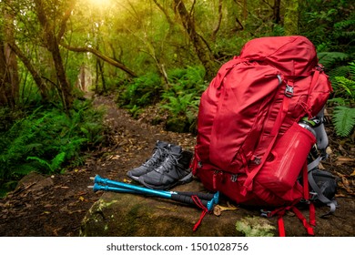 Red backpack and hiking gear set placed on rock in rainforest of Tasmania, Australia. Trekking and camping adventure. - Powered by Shutterstock