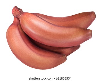 Red banana isolated on white background with clipping path
