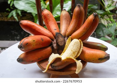 Red bananas are a unique fruit that provides many health benefits. - Shutterstock ID 2267670953