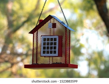 Red Bard House Cute Suet Bird Feeder 