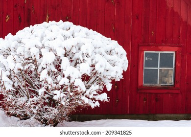 Red Barn During Winter With Snow, Stowe, Vermont, USA