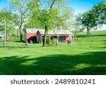 Red barn farmhouse on large acre lot farmland in Mansfield Missouri, grassy lawn and lush greenery trees, scenic peaceful agriculture town at agro-town agglomeration rural environment farmstead. USA