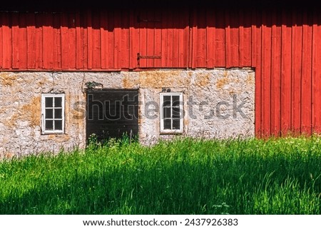 Red barn with high grass at a farmyard
