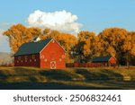 Red Barn, Horse River Ranch, Ohio Pass, Gunnison, Colorado, USA