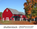 Red Barn and maple tree, Ware, Massachusetts, USA