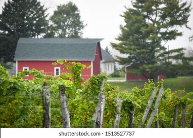 Red Barn in Michigan Countryside