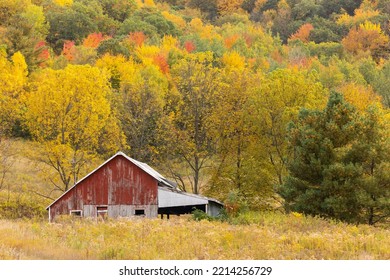 Red Barn On A Hillside In Autumn