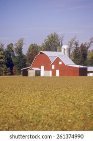 Red Barn And Outbuildings, Eastern Shore, MD