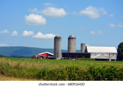 Red Barn And Silos In Corn Field 