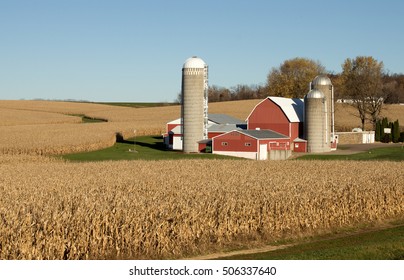 A Red Barn And Silos On A Wisconsin Farm Surrounded By Ripe Corn Fields.