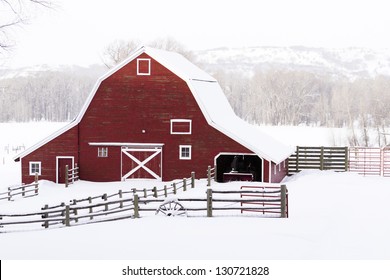 Red Barn In Snow On Lamb Farm.