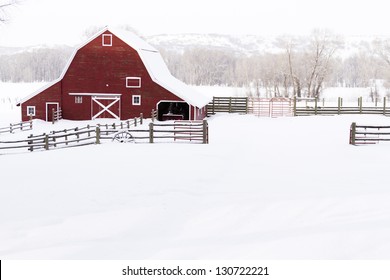 Red Barn In Snow On Lamb Farm.