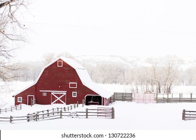 Red Barn In Snow On Lamb Farm.