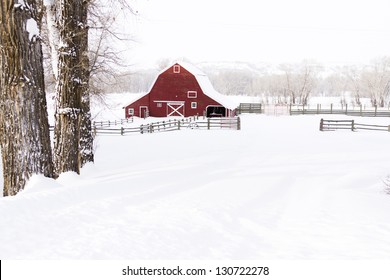 Red Barn In Snow On Lamb Farm.