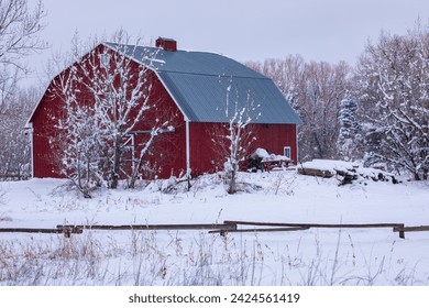 Red barn with snowy landscape in foreground. Snowy landscape with wooden rail fence. Pale sky over the side of a red barn with gray roof.  Colorado winter scene with snowy ground and trees. - Powered by Shutterstock