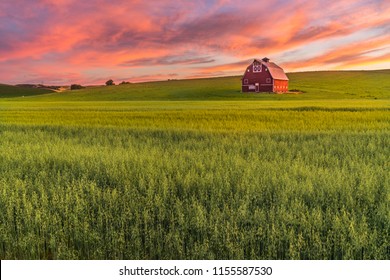 Red barn in Washington field at sunset 