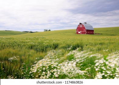 Red barn in the wheat fields of the Palouse region, WA-USA - Powered by Shutterstock