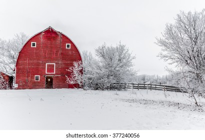 Red Barn In Winter