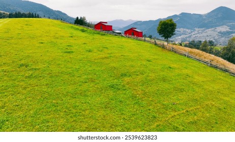 Red Barns on a Lush Green Hill with Mountainous Backdrop. Two bright red barns stand on a gently sloping green hillside with a wooden fence and a lone tree, overlooking distant mountains. - Powered by Shutterstock