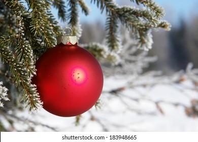 8,000 Christmastree decoration Images, Stock Photos & Vectors ...