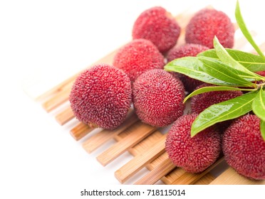 Red bayberry