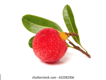 Red bayberry ?Arbutus ? isolated on white background 