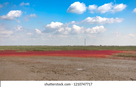 Red Beach, Panjin, China