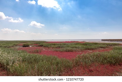 Red Beach, Panjin, China