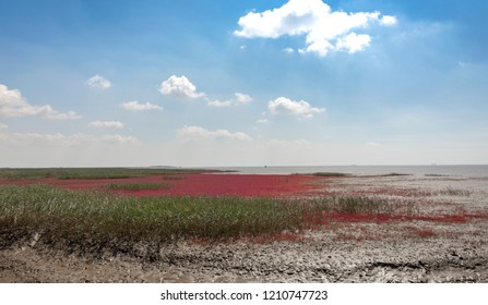 Red Beach, Panjin, China