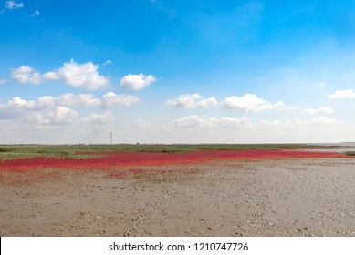 Red Beach, Panjin, China