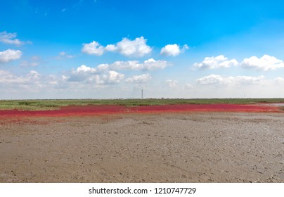 Red Beach, Panjin, China