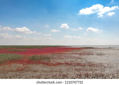 Red Beach, Panjin, China