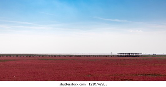 Red Beach, Panjin, China