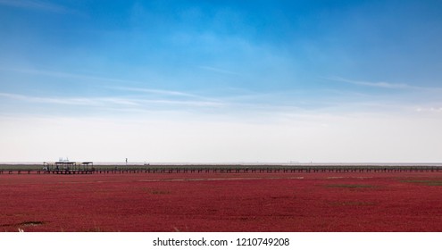 Red Beach, Panjin, China