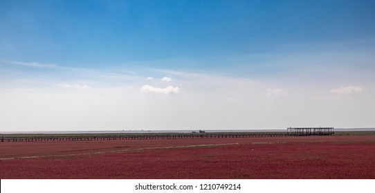 Red Beach, Panjin, China