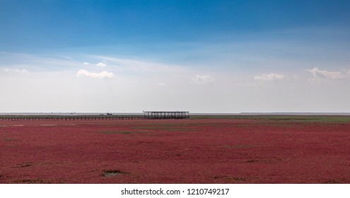 Red Beach, Panjin, China