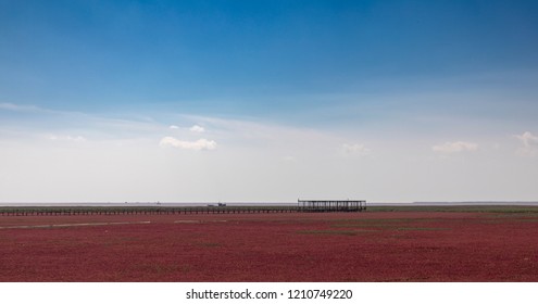 Red Beach, Panjin, China