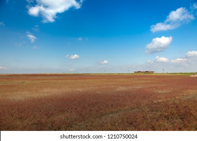 Red Beach, Panjin, China