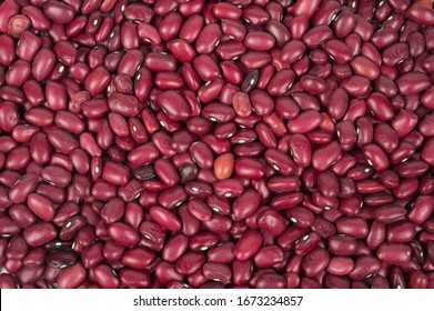 Red Bean Background Texture Macro PPT template 57 | CrystalGraphics