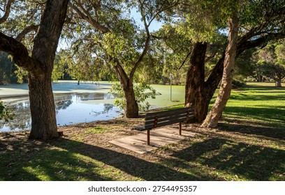 Red bench under eucalypt trees overlooking algal small pond in Neil McDougall Park, Como suburb, Perth, Australia, 25 November 2021