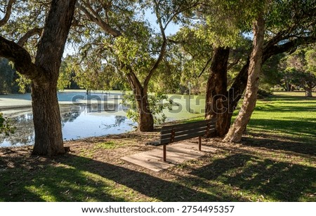 Red bench under eucalypt trees overlooking algal small pond in Neil McDougall Park, Como suburb, Perth, Australia, 25 November 2021