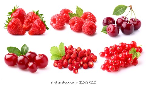 Red berries 