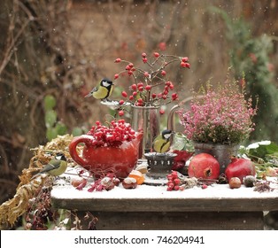 Red Berries, Two Red Pomegranates, Red Heather And The Three Birds In The Winter Garden