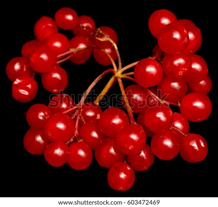 Similar – cherry cherry lady II