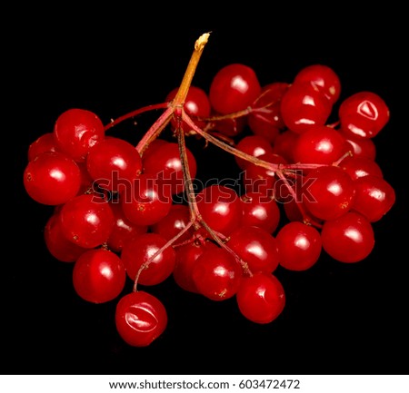 Similar – cherry cherry lady II