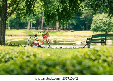 Red bicycle in fresh summer park