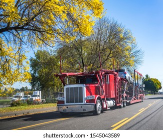 Red Big Rig Car Hauler Professional Industrial Semi Truck Transporting Car On Two Levels Semi Trailer Running On Autumn Road In Sunny Day